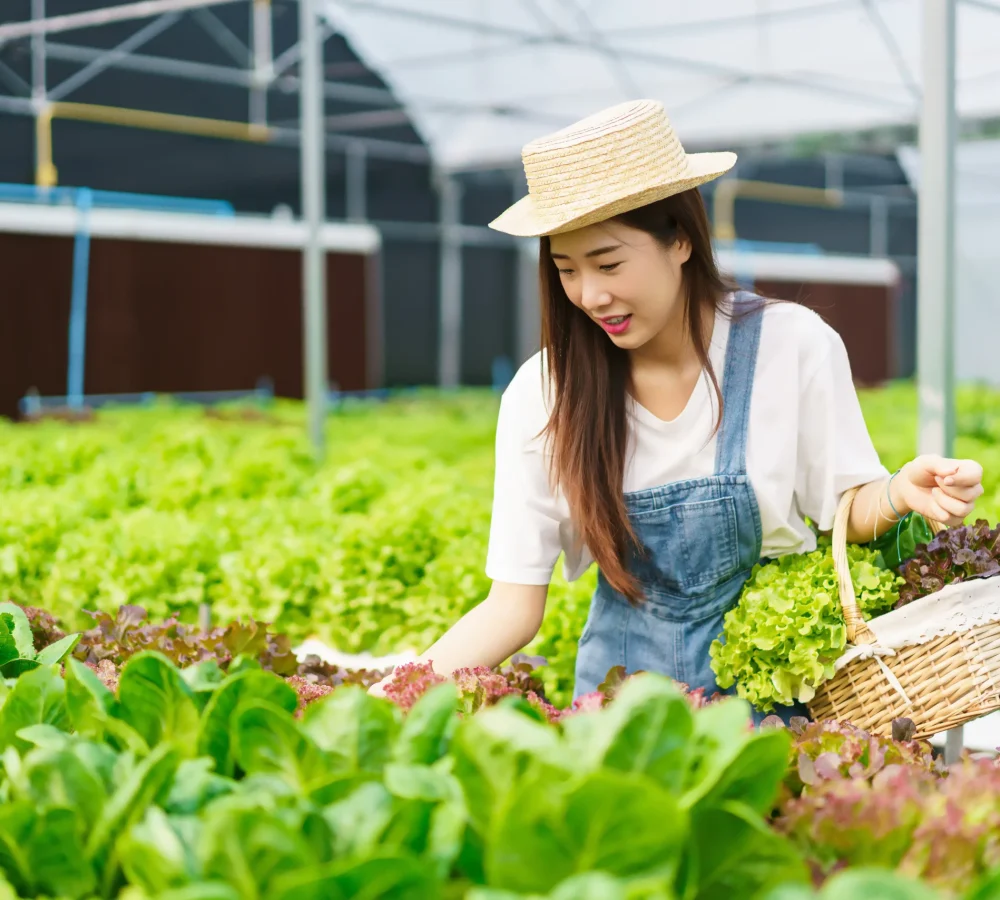 Aquaponic