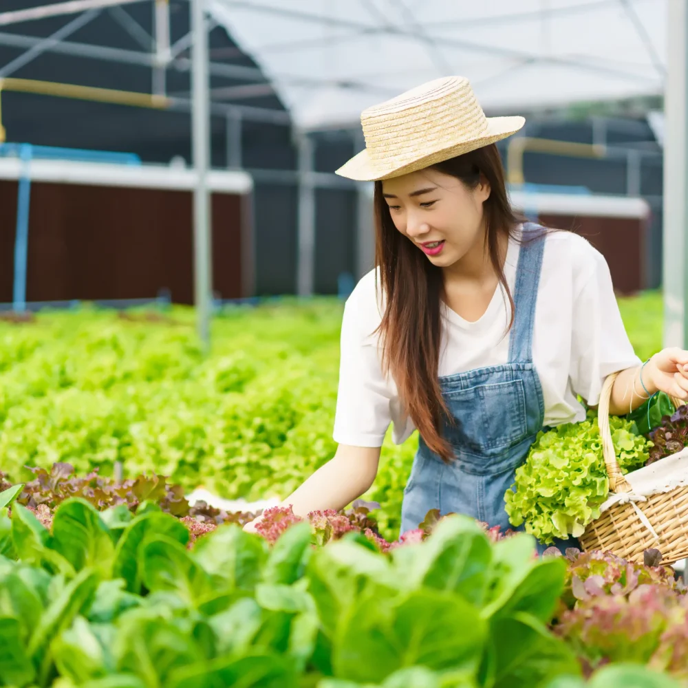 Aquaponic