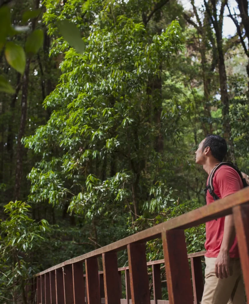 Hiking Trails