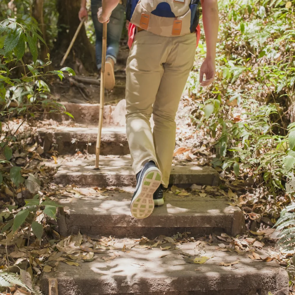 Hiking trail